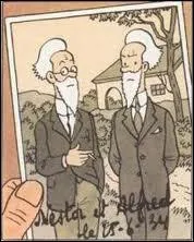 Que sont Alfred et Nestor Halambique ?