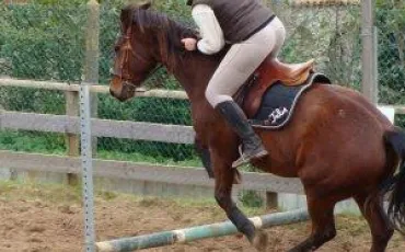Quiz Galop 3