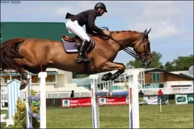 A quelle phase du saut est ce cheval ?