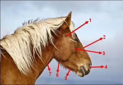 A quoi correspondent les chiffres 1, 2, 3, 4 ?