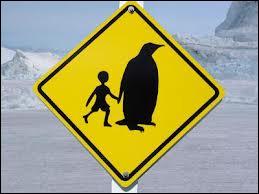 Par abus de langage, on confond souvent le pingouin et le manchot mais pourquoi est-ce une faute ?