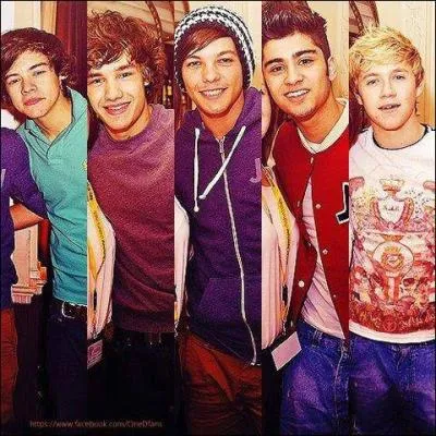 De quel groupe faisait partie Louis  l'cole ?