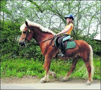 Tient-il correctement ses rnes ?