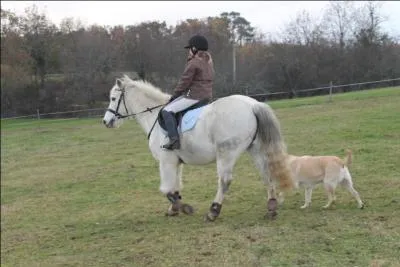 Quelle est cette robe ?