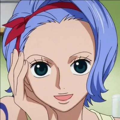 Qui est la soeur de Nami ?