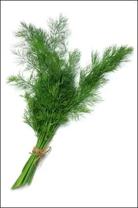 Et celle-l, comment s'appelle-t-elle ?