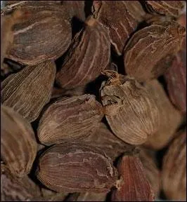 Et celle-ci ? (c'est un peu plus dur)