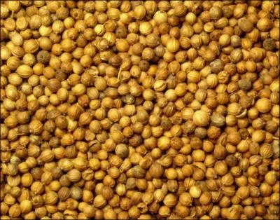 Comment s'appelle-t-elle ?