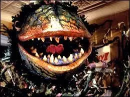 Dans combien de chanson la plante Audrey 2 a-t-elle chant ?