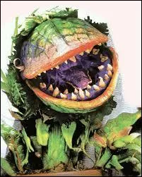 Qui a vendu Audrey 2  Seymour ?