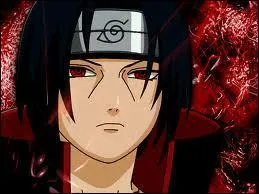 Quelle est sa voix franaise ?