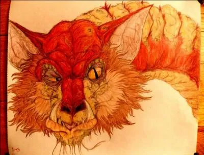 Dans l'oeuvre de Tolkien le hobbit Bilbo est emmen par le magicien Gandalf vers la Montagne Solitaire  la recherche du trsor du ... Smaug.