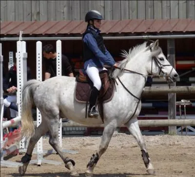 Quelle est cette allure ?