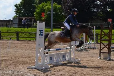 Quel est cet obstacle ?