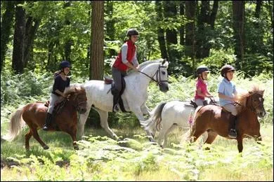 Lorsque l'on monte  cheval, o doit-on poser notre regard ?