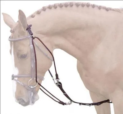 Comment s'appelle cet enrnement ?