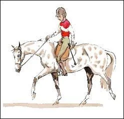 Faut-il d'abord utiliser les aides naturelles ou d'abord utiliser les aides artificielles ?