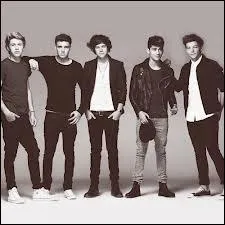 Qui sont ces chanteurs ?