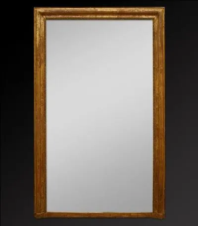 De ces trois animaux, lequel se reconnat dans un miroir ?