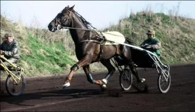 Comment ont-t ses dbuts dans les courses ?