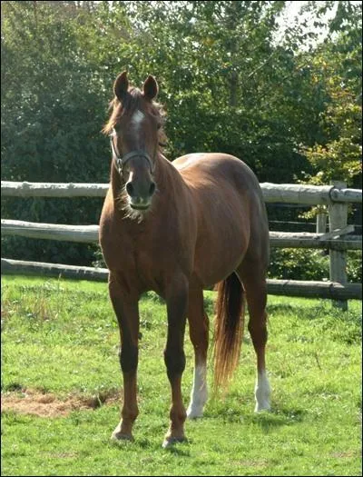  quel ge est-il dcd ?