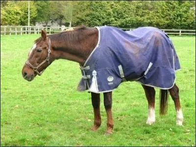 Qui l'a fait natre ?