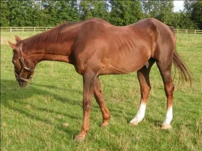 O a-t-il pass sa retraite ?