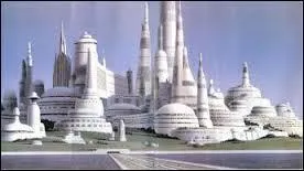 Quelle est cette plante ?