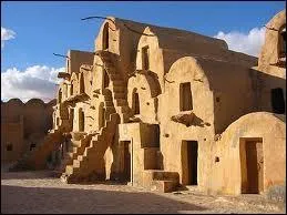 Quelle est cette plante ?