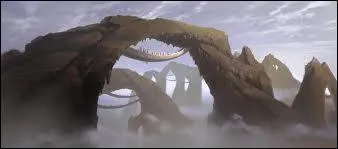 Quelle est cette plante ?