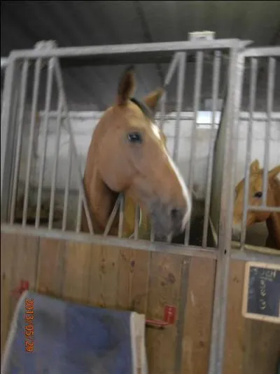 Quel est le local le plus grand parmi les suivants ?