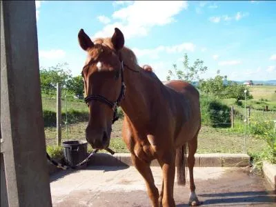 Quelle est la taille la plus proche de celle d'un box de taille rglementaire ? ( les mesures sont en mtres cubes )
