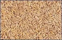 Parmi ces mots, lesquels dsignent de GRANDES familles d'aliments ?