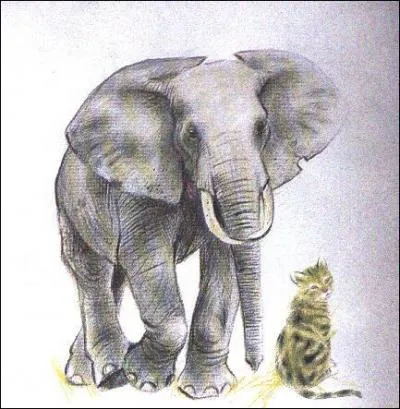 Quel est l'animal de Abbey ?