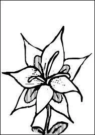 Quelle est la couleur de la fleur dans les cheveux de Lagoona Blue ?