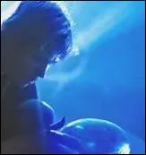 Il nait d'un oeuf de poule couv par...