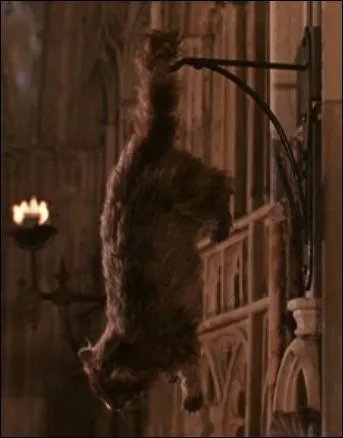 Ds que l'on croise son regard, que se passe-t-il ?