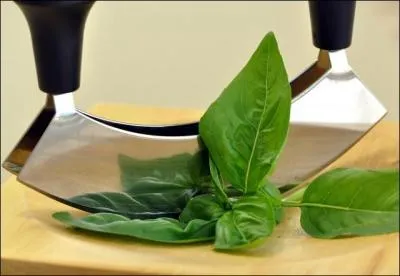 Dans le monde rel, autre qu'une lgende et une plante, le basilic est un animal. Lequel ?