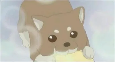 Qui lui a donn ce chien ?