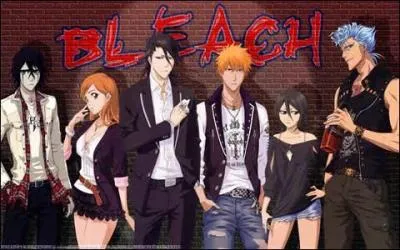Quelle est l'dition du manga  Bleach  ?