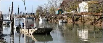 Car la pche  l'hutre est une activit importante  et autour de l'le d'Olron, la majorit des hutres que vous pourrez trouver en supermarch ou autre dans la priode de Nol par exemple, viendront de la ville de [... ] ! Cette ville possde un port ostricole (l'ostriculture est l'levage des hutres), le Port de la Cayenne.