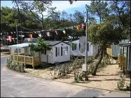 Vous voulez aller au camping  Les Pins   La Cotinire, combien y'a-t-il de campings  ce nom ? Il va falloir choisir le bon !