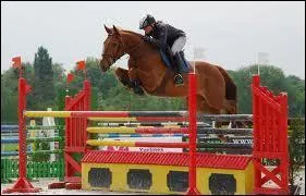 Quels obstacles ne comportent que 2 barres ?