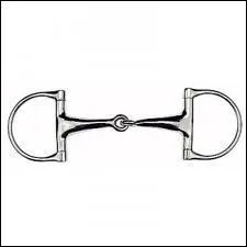Comment s'appelle la barre que l'on met dans la bouche du cheval ?