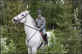 Comment s'appelle le cheval de Georgie ?