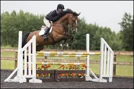 Comment s'appelle le cheval de Jeremy ?