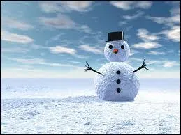 Qu'adorent faire les enfants comme activit cratrice avec la neige ?