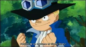 Sabo, tu ne pars pas  l'aventure maintenant ? C'est quand mme ton anniversaire aujourd'hui :