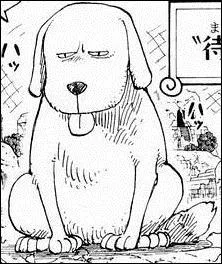 Holly, va au lit ! Bref, j'arrte mes jeux de mots. Tu ne vas pas dormir aussi tt alors que c'est ton anniversaire :