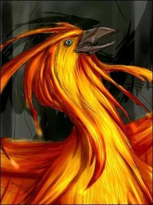 Qui tait Fawkes (Fumseck en anglais) ?